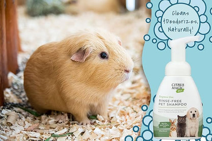 Citrus Magic Pet Rinse-Free Pet Shampoo, 8-Fluid Ounce, Pack of 2