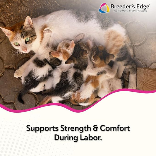 Breeder's Edge Oral Cal Plus Gel, Whelping and Queening Calcium Supplement Gel for Dogs and Cats Delivers 3 Calcium Sources in Labor to Support Strong and Normal Contractions, 30ml Paste