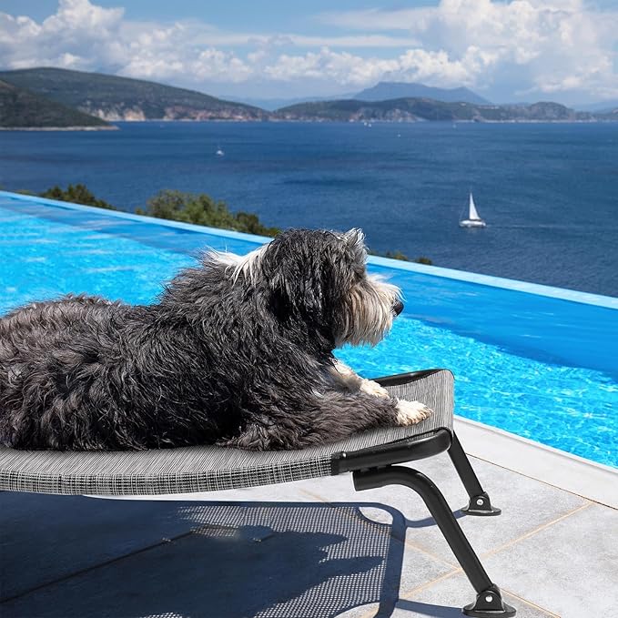 Veehoo Outdoor Elevated Dog Bed, Cooling Raised Dog Cots Beds for Medium Dogs, Portable Waterproof Curved Dogs Hammock Bed for Outside, up to 100lbs, Black Legs, Black Silver 32"