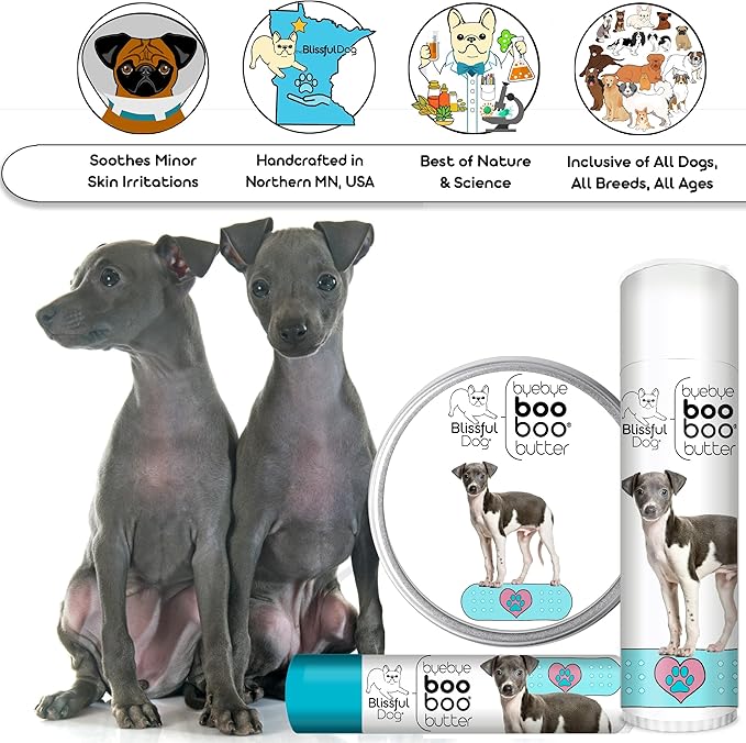 The Blissful Dog Italian Greyhound Boo Boo Butter, 1-Ounce