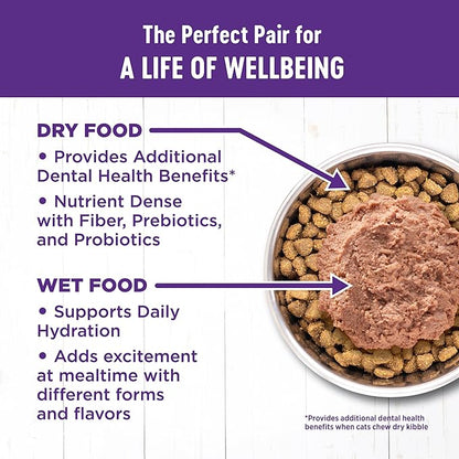 Wellness Complete Health Adult Dry Cat Food for Indoor Cats, Natural, Grain Free Kibble, Chicken Recipe, 11.5 lb Bag