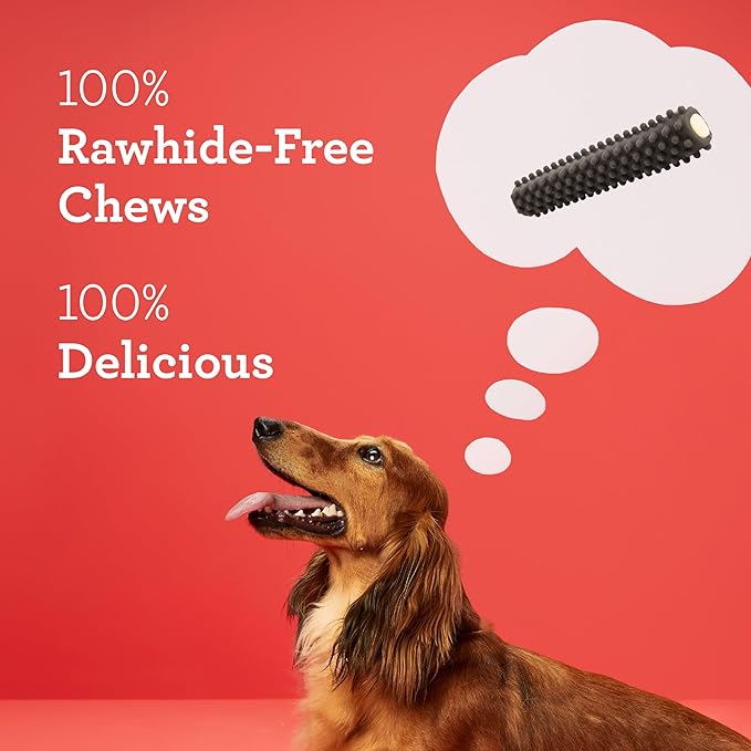 DreamBone Triple Action Dental Sticks Charcoal, 6 Count, Rawhide-Free Chews for Large and XL Sized Dogs Freshens Breath