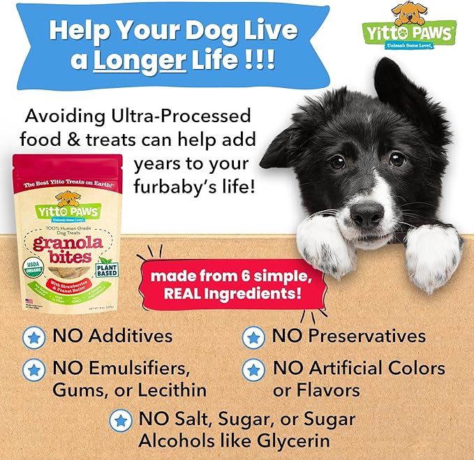 Organic Dog Treats – Crunchy, Strawberry & Peanut Butter Training Dog Biscuits – Vegan, Human-Grade, No Sugar Added – Healthy, All Natural – Made in USA for All Breeds, 3-Pack (24 oz)
