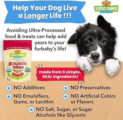 Organic Dog Treats – Crunchy, Strawberry & Peanut Butter Training Dog Biscuits – Vegan, Human-Grade, No Sugar Added – Healthy, All Natural – Made in USA for All Breeds, 3-Pack (24 oz)