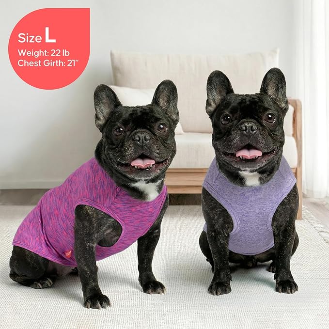 KYEESE 2 Pack Dog Shirts Quick Dry Soft Stretchy Pet T-Shirts with Reflective Label Tank Top Sleeveless Vest Sun Protection Dog Clothes for Small Dogs, Small, Purple+Pink