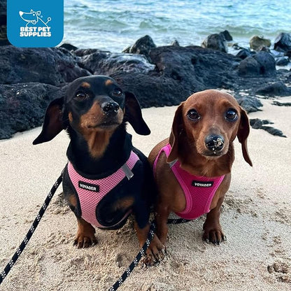 Best Pet Supplies Voyager Step-in Air Harness - All Weather Mesh, Reflective, No Pull Harness for Dogs, Cats - Secure with Hook & Loop Fastener, Buckle, Double D-Rings - Fuchsia, S