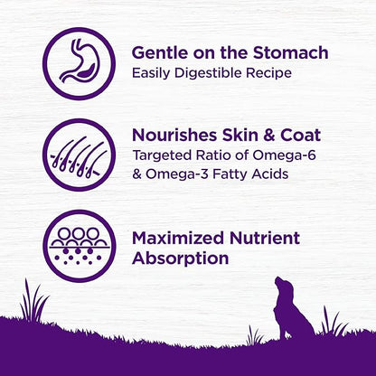 Wellness Complete Health Sensitive Skin and Stomach Dry Dog Food, Wholesome Grain Kibble, Natural, Chicken Free, Salmon and Rice Recipe, 5 lb Bag