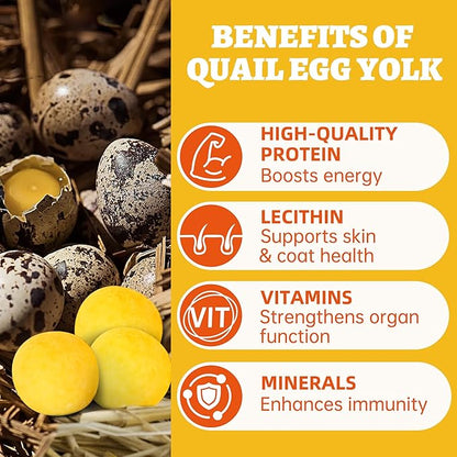 Wellix Freeze-Dried Treats for Dogs and Cats - Quail Eggs Flavor Healthy Cat Treats 4.2oz, High-Protein Freeze Dried Cat Treats for Skin&Coat Health - Delicious Training Snacks for Pets