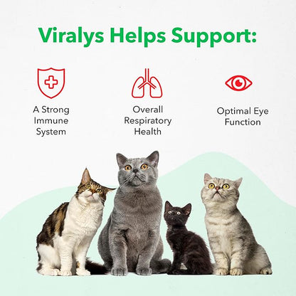 Vetoquinol Viralys - Lysine Supplement for Cats & Kittens - Supports Eye Wellness, Respiratory Health & Immune Strength - Flavored Oral Powder for Easy Feeding & Daily Use - 600 Grams