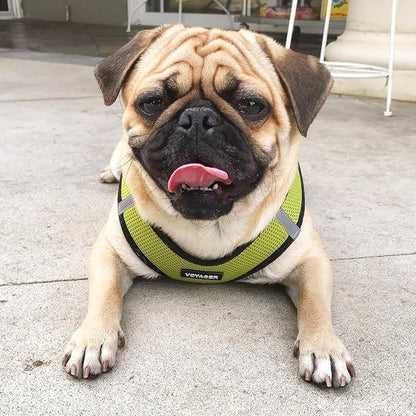 Best Pet Supplies Voyager Step-in Air All Weather Mesh Harness and Reflective Dog 5ft Leash Combo with Neoprene Handle, for Small, Medium and Large Breed Puppies - Set (Lime/Black Trim), X-Large