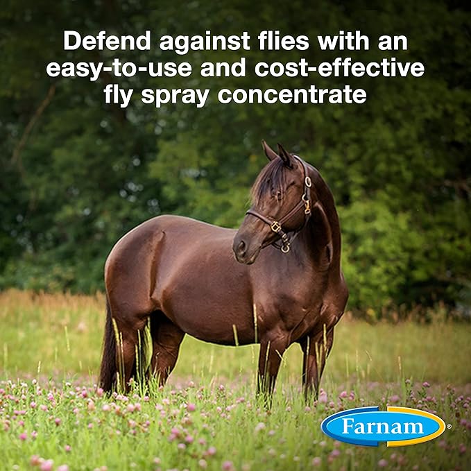 Farnam Repel-X pe Concentrated Fly Spray for Horses, Just Add Water 16 Ounces (Pack of 2)