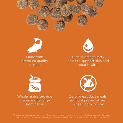 Go! Solutions Skin + Coat Care Salmon Dry Dog Food with Grains, Chicken-Free, Healthy Kibble with Omega-3s & 6s for Soft, Shiny Fur, for Puppies, Adults, & Seniors, 22 lb Bag