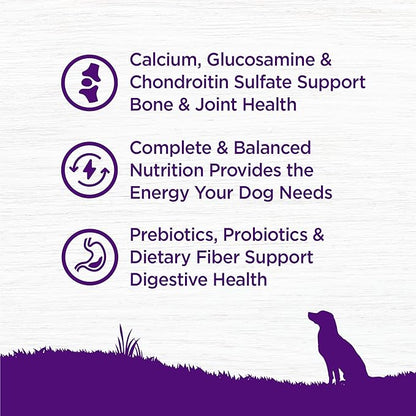 Wellness Complete Health Age Advantage Senior Dry Dog Food, Wholesome Grain Kibble, Natural, Chicken and Barley Recipe, 26 lb Bag