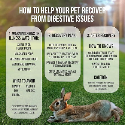 Sherwood Pet Health Rabbit Emergency kit and Bulk Recovery Food (200 Grams)