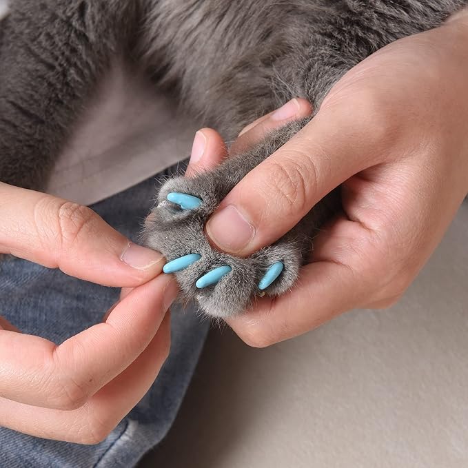 Kitty Caps Nail Caps for Cats, Black with Gray Tips & Baby Blue - Safe, Stylish & Humane Alternative to Declawing Stops Snags & Scratches, Medium (9-13 lbs), 40 Count - 3 Pack