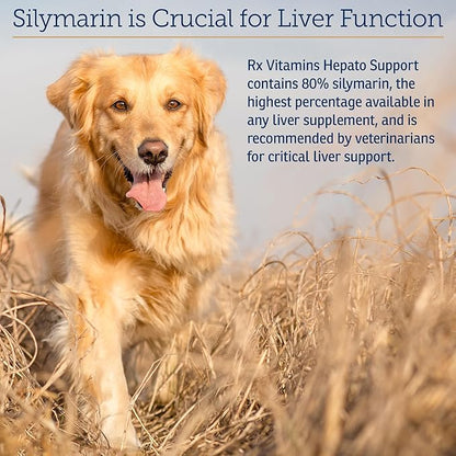 Rx Vitamins Hepato Support for Dogs & Cats - Liver Support Supplement with Milk Thistle for Dogs and Cats - Hepatic Dog Supplement Enriched with Vitamin B Complex - 180 Capsules