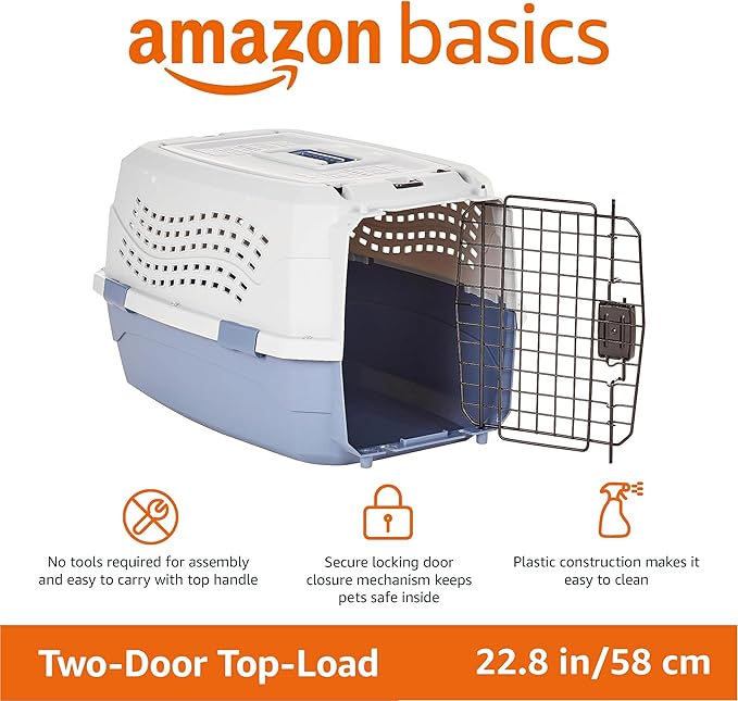 Basics Sturdy Portable 2-Door Top-Load Hard-Sided Pet Travel Carrier with Secure Ventilation, Handle, Front & Top Entry for Dogs, Cats, 22.8"L x 15"W x 13"H, Gray & Blue