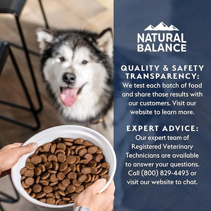 Natural Balance Health Protection Dry Dog Food – Whole Body Health, Easy on Digestion Dog Food Made with Lamb, Brown Rice & Pumpkin for Dogs - 24lbs.