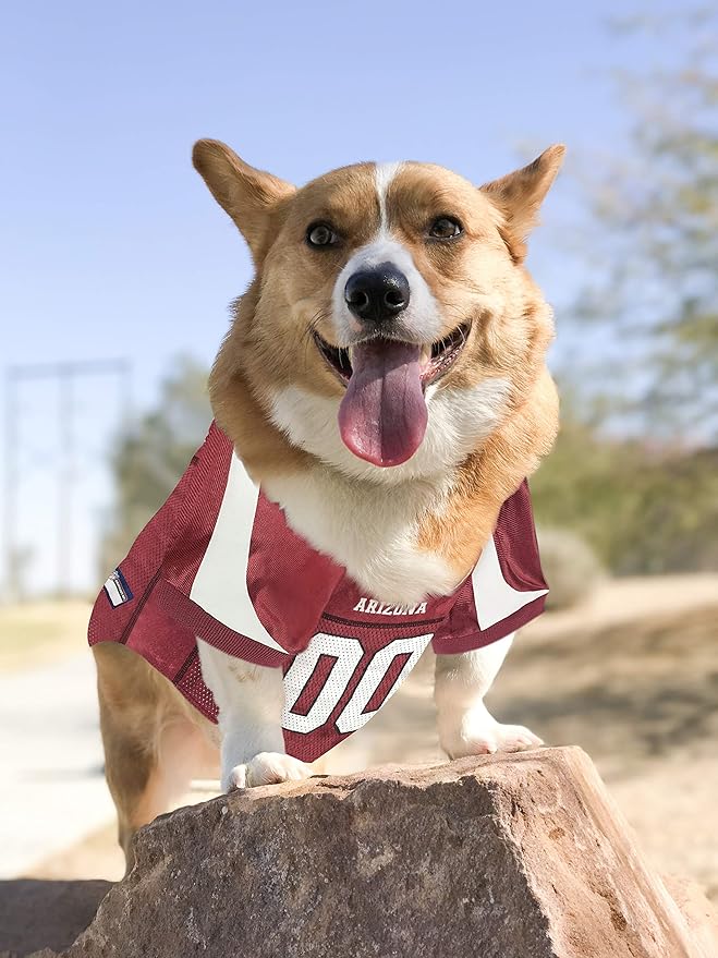 NFL Arizona Cardinals Dog Jersey, Size: XX-Large. Football Jersey Costume for Dogs