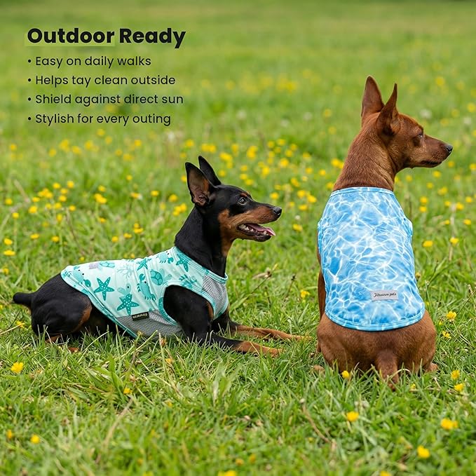 Fitwarm 2 Pack Marine UPF 50+ UV Sun Protection Dog Shirt, Lightweight Cooling Vest, Quick Dry Summer Clothes for Small Dogs Boy Girl, Pet Outfit, Sky Blue, Mint Green, XXL