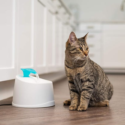 IRIS USA Open Top Cat Litter Box with Scoop and Scatter Shield, Black + 44oz / 1.3L Cat Water Fountain Bundle, Two Flow Options Silent Replaceable Charcoal Filter, White/Blue