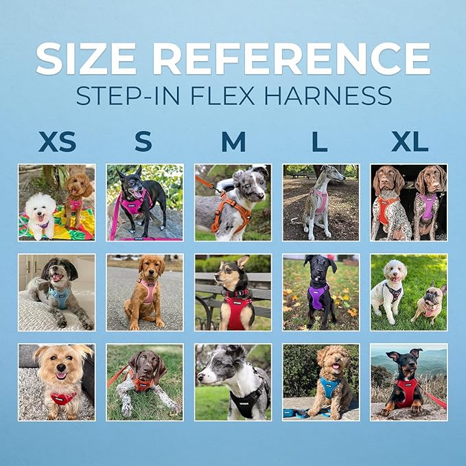 Best Pet Supplies Voyager Adjustable Step-in Flex Breathable Mesh Dog Harness for Small Medium Large Dogs (Army/Black Trim), L