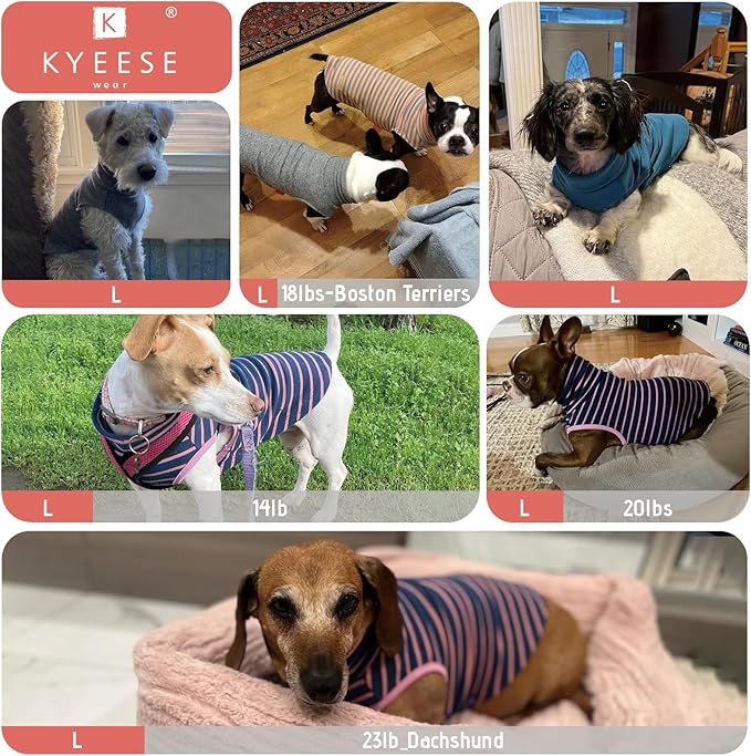 KYEESE 2Pack Dog Sweater Stretchy Dogs Clothes Soft Pets Clothes Warm Pets Coats Dog Sweaters for Small Dogs Male Turtleneck Small Pets Sweaters Pullover Pet Sweatshirt