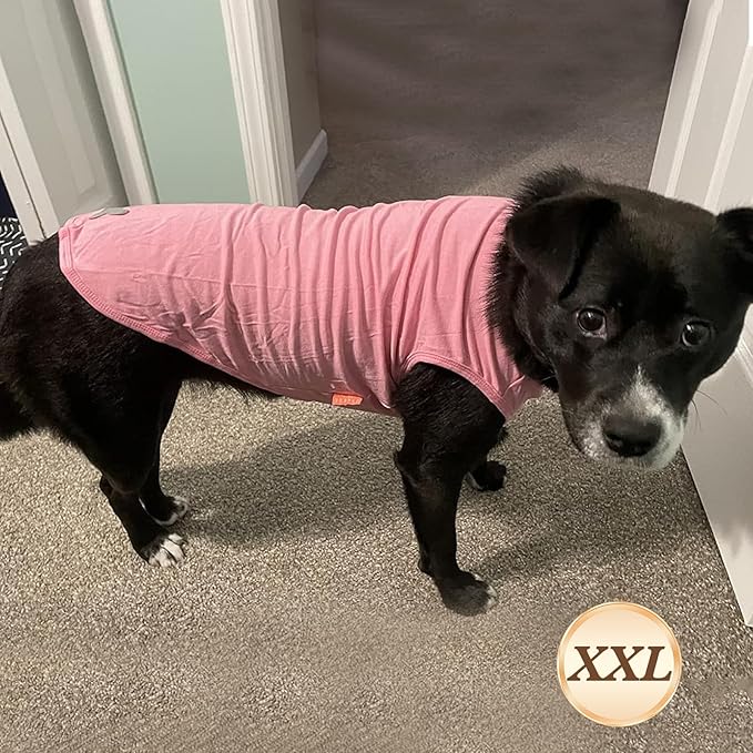 KYEESE 2Pack Dog Shirt, Soft Striped Dogs T Shirts, Lightweight Pet Tank Top, Sleeveless Dog Shirt for Medium Dogs, Stretchy Comfortable Pet Vest, Purple+Blue Striped, 2XL