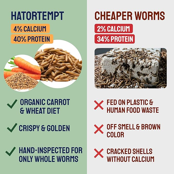Hatortempt 10lb Dried Black Soldier Fly Larvae - More Calcium Than Mealworms for Chickens - High Protein Chicken Feed Treats for Laying Hens, Wild Birds and Duck Food