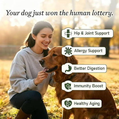 Dog Multivitamin - Pet Vitamins and Supplements 45-in-1 Daily to Support Joint, Immune System, Digestive Health, Skin & Coat with Chondroitin, Omega 3 & Probiotics, 8.8oz