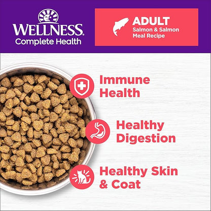 Wellness Complete Health Adult Dry Cat Food, Natural, Wholesome Grains Kibble, Salmon Recipe, 5 lb Bag