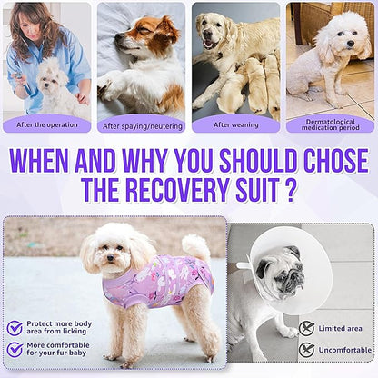 Lukovee Recovery Suit for Dogs, Zipper On Dog Surgery Suit for Female Male Dog, Onesies Bodysuit Prevent Licking Spay Abdominal Wounds Bandages E-Collar Alternative (Purple, M)