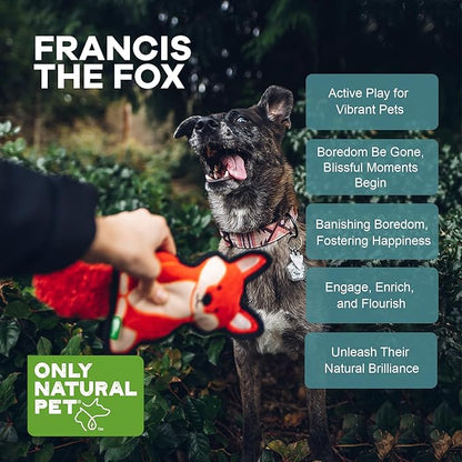 Only Natural Pet Mountain Friends Recycled Plush Dog Toys - Durable Double-Stitched Design with Internal Squeaker, Large Plush Ears & Soft Crinkle Tail - Squeaky Pet Toy | Francis The Fox, 5.5" x 12"