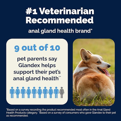 Vetnique Glandex Daily Probiotics for Dogs with Prebiotics to Support Gut Health, Diarrhea with Fiber and Digestive Enzymes, Dog Probiotic Powder (8.5oz Powder, Pork Powder)
