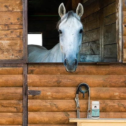 Coat Defense Daily Preventative Powder & Rain Rot Treatment for Horses | Safe & Effective Equine Sweet Itch, Skin Funk, Scratches | Dry Horse Shampoo, 8 oz. | All Natural Ingredients