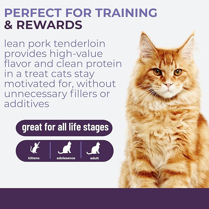 Momentum Carnivore Nutrition Freeze-Dried Pork Tenderloin Cat Treats – Single-Ingredient, High-Protein, All-Natural, Grain-Free, Lean & Naturally Tender – Made in USA – 2.5 oz Bag