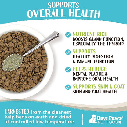 Raw Paws Organic Kelp Powder for Dogs & Cats (8-Ounce) - Supports Thyroid, Digestive & Immune Health - Dried Sea Kelp for Dogs - Seaweed Powder Supplement
