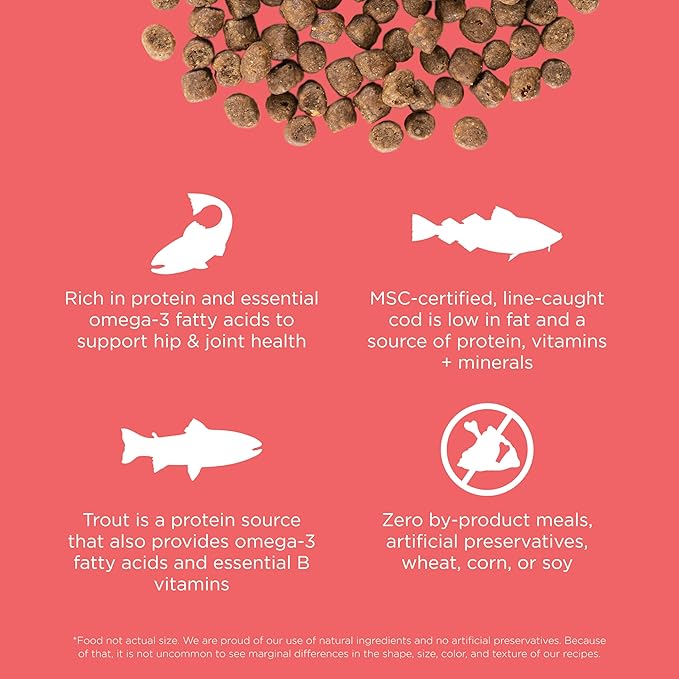 Go! Solutions Carnivore Salmon + Cod Grain-Free Dry Cat Food, Our Highest-Protein Kibble Made with Real Meat & Fish, Chicken-Free Recipe, for Kittens, Adults & Seniors, 16 lb Bag