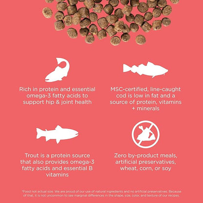 Go! Solutions Carnivore Salmon + Cod Grain-Free Dry Cat Food, Our Highest-Protein Kibble Made with Real Meat & Fish, Chicken-Free Recipe, for Kittens, Adults & Seniors, 3 lb Bag