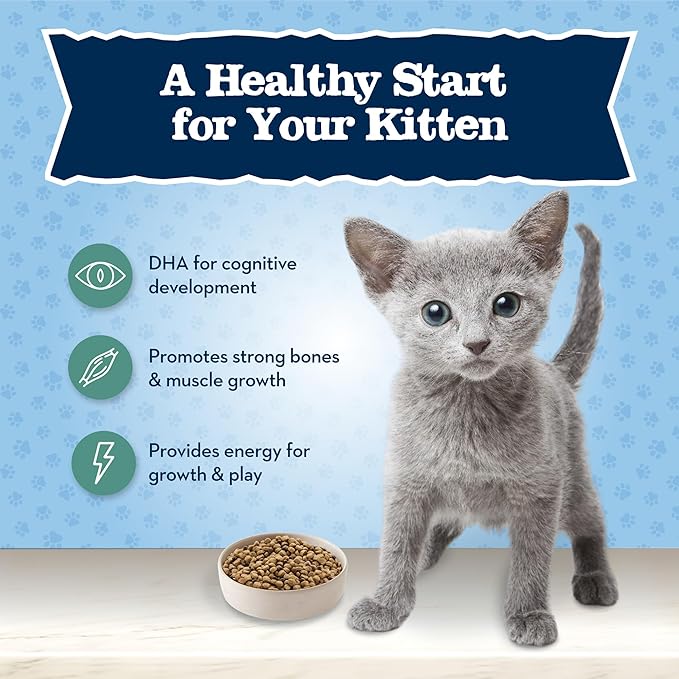 Blue Buffalo Baby Blue Natural Grain-Free Dry Food for Kittens, Healthy Growth Formula with DHA, High-Protein Savory Chicken Recipe, 4.5-lb Bag