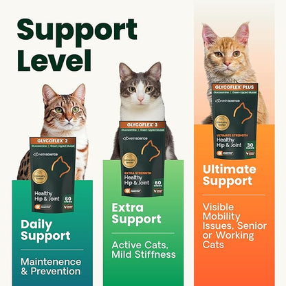 VetriScience Extra Strength Healthy Hip & Joint-Chews, GlycoFlex Glucosamine & Green-Lipped Mussel JointSupport Supplement, Promote Mobility & Soothe JointDiscomfort, Chicken,60 Count(Pack of 2)