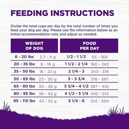 Wellness Complete Health Sensitive Skin and Stomach Dry Dog Food, Wholesome Grain Kibble, Natural, Chicken Free, Salmon and Rice Recipe, 5 lb Bag