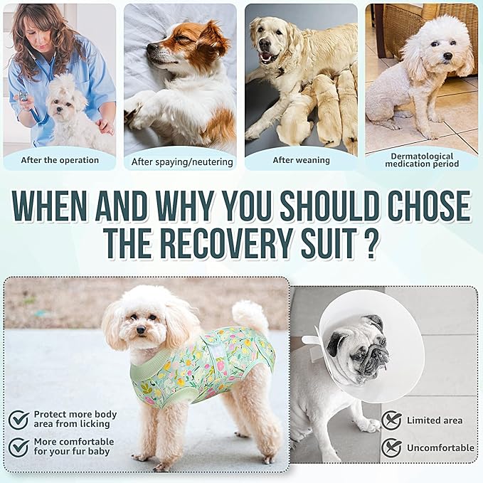 Lukovee Recovery Suit for Dogs, Zipper On Dog Surgery Suit for Female Male Dog, Onesies Bodysuit Prevent Licking Spay Abdominal Wounds Bandages E-Collar Alternative (Green, M)