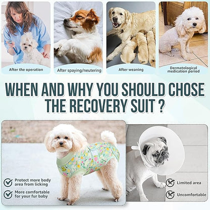 Lukovee Recovery Suit for Dogs, Zipper On Dog Surgery Suit for Female Male Dog, Onesies Bodysuit Prevent Licking Spay Abdominal Wounds Bandages E-Collar Alternative (Green, M)