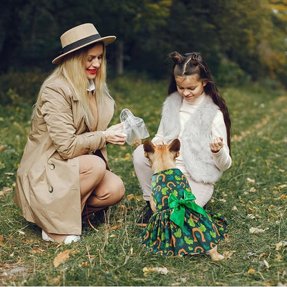 St. Patrick's Day Dog Costume Dress L, Green Clover and Horseshoe Print with Satin Bow, Pet Dress for 11-13 lbs Dogs and Cats, Festive Holiday Clothing