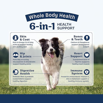 Natural Balance Health Protection Dry Dog Food – Whole Body Health, Easy on Digestion Dog Food Made with Lamb, Brown Rice & Pumpkin for Dogs - 24lbs.