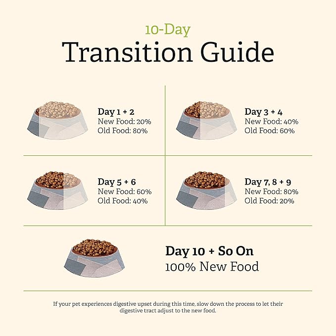 GATHER Endless Valley Vegan Dry Dog Food with Grains, Healthy Plant-Based Kibble Made with Organic & Non-GMO Ingredients, Chicken-Free for Sensitive Stomachs, for Adults & Seniors, 16 lb Bag
