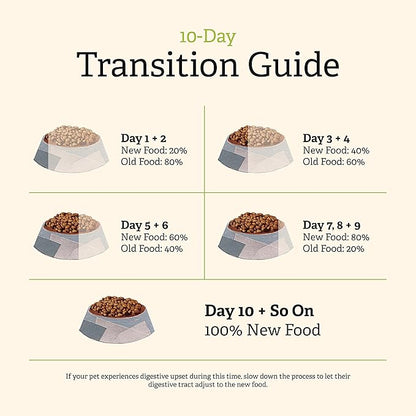GATHER Endless Valley Vegan Dry Dog Food with Grains, Healthy Plant-Based Kibble Made with Organic & Non-GMO Ingredients, Chicken-Free for Sensitive Stomachs, for Adults & Seniors, 16 lb Bag