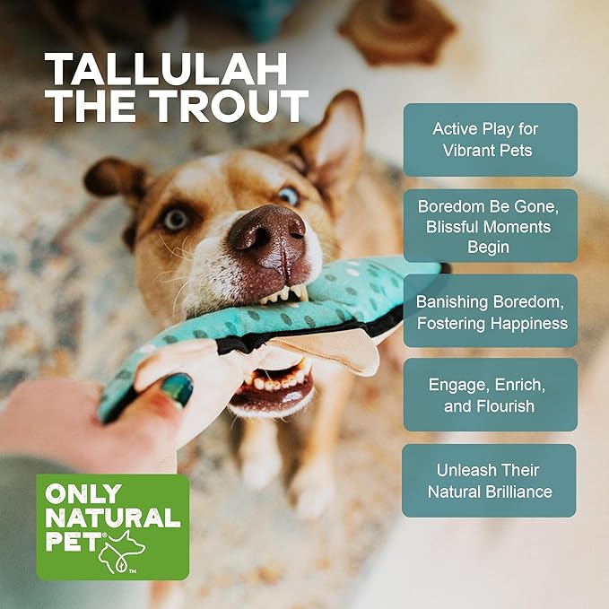 Only Natural Pet Mountain Friends Recycled Plush Dog Toys - Durable Double-Stitched Design with Internal Squeaker, Large Plush Ears & Soft Crinkle Tail - Pet Toy | Tallulah The Trout, 6" x 14.5"