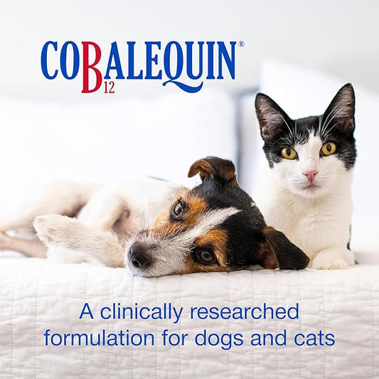 Nutramax Laboratories Cobalequin B12 Supplement for Cats and Small Dogs, 45 Count (Pack of 2)